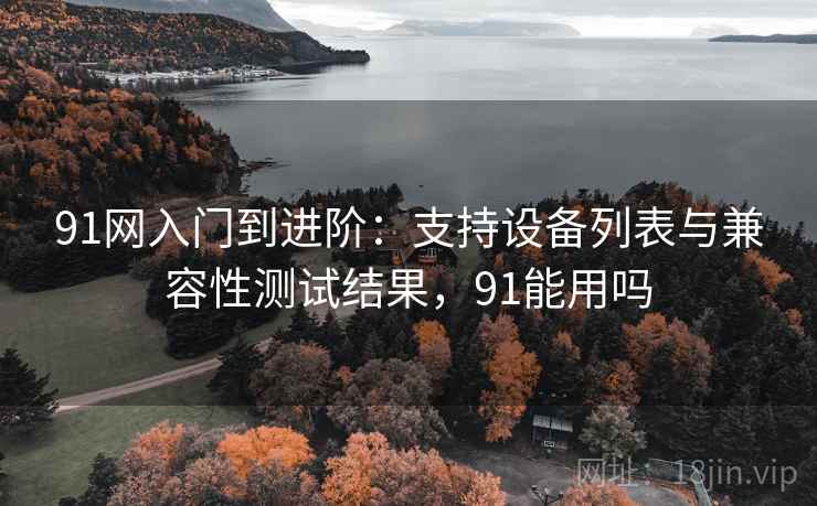 91网入门到进阶：支持设备列表与兼容性测试结果，91能用吗
