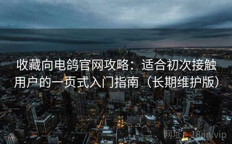 收藏向电鸽官网攻略：适合初次接触用户的一页式入门指南（长期维护版）
