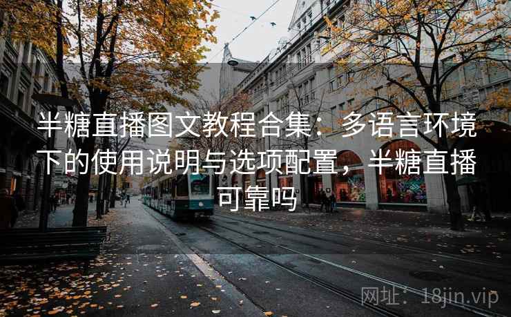 半糖直播图文教程合集：多语言环境下的使用说明与选项配置，半糖直播可靠吗