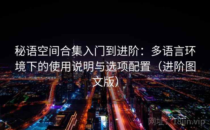 秘语空间合集入门到进阶：多语言环境下的使用说明与选项配置（进阶图文版）