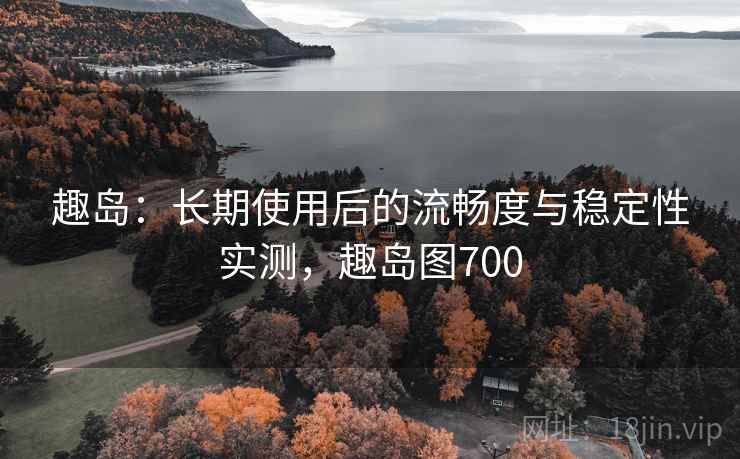 趣岛：长期使用后的流畅度与稳定性实测，趣岛图700