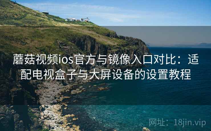 蘑菇视频ios官方与镜像入口对比：适配电视盒子与大屏设备的设置教程