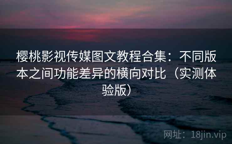 樱桃影视传媒图文教程合集：不同版本之间功能差异的横向对比（实测体验版）
