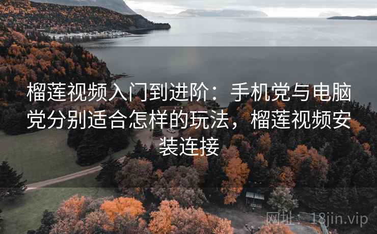 榴莲视频入门到进阶：手机党与电脑党分别适合怎样的玩法，榴莲视频安装连接