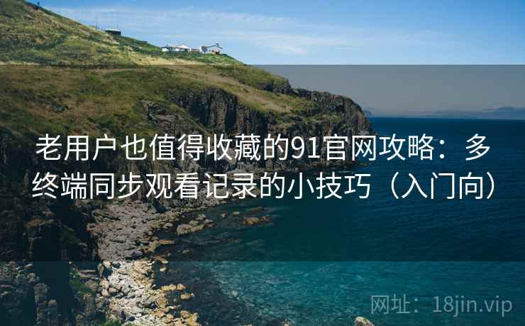 老用户也值得收藏的91官网攻略：多终端同步观看记录的小技巧（入门向）