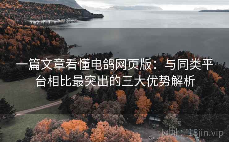 一篇文章看懂电鸽网页版：与同类平台相比最突出的三大优势解析