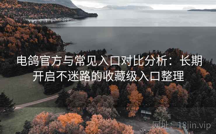 电鸽官方与常见入口对比分析：长期开启不迷路的收藏级入口整理