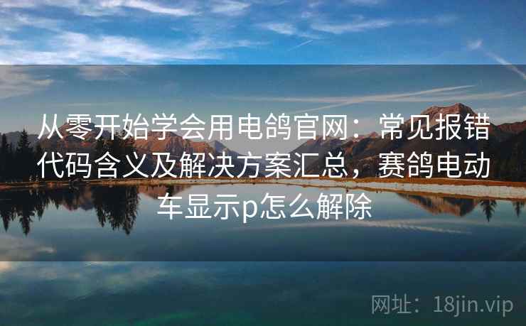 从零开始学会用电鸽官网：常见报错代码含义及解决方案汇总，赛鸽电动车显示p怎么解除