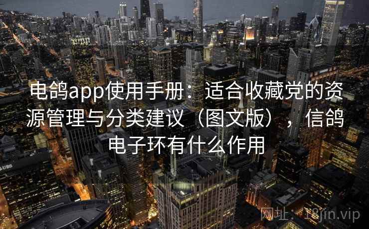 电鸽app使用手册：适合收藏党的资源管理与分类建议（图文版），信鸽电子环有什么作用