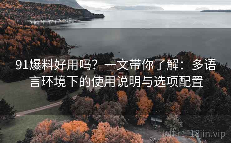 91爆料好用吗？一文带你了解：多语言环境下的使用说明与选项配置