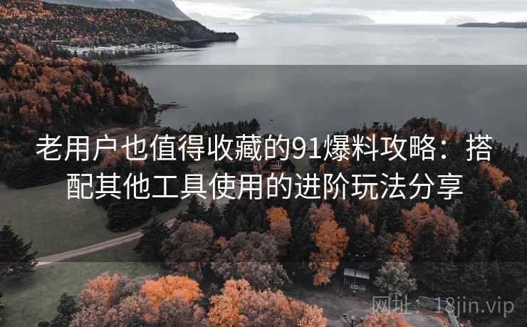 老用户也值得收藏的91爆料攻略：搭配其他工具使用的进阶玩法分享