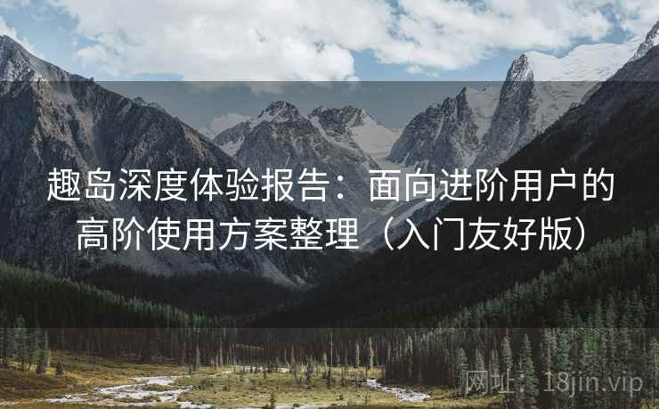 趣岛深度体验报告：面向进阶用户的高阶使用方案整理（入门友好版）