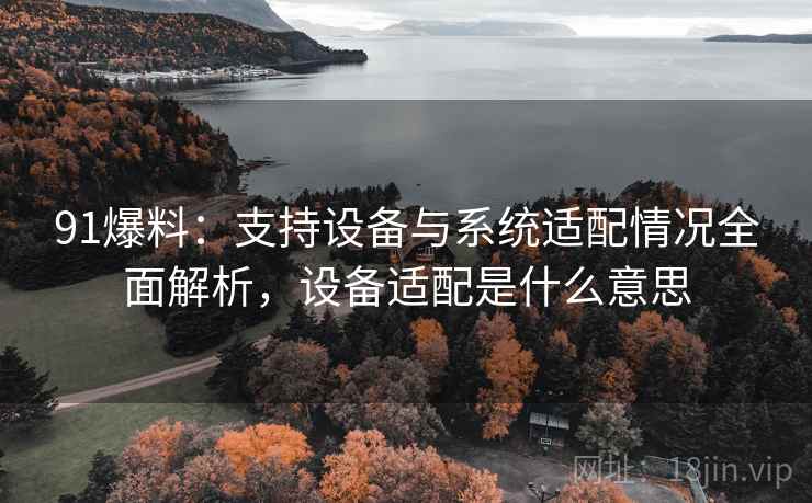 91爆料:支持设备与系统适配情况全面解析,设备适配是什么意思 91爆料:支持设备与系统适配情况全面解析,设备适配是什么意思