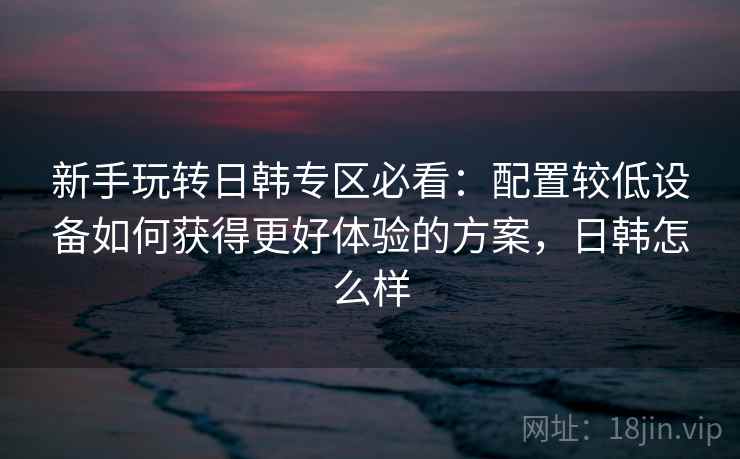 新手玩转日韩专区必看:配置较低设备如何获得更好体验的方案,日韩怎么样 新手玩转日韩专区必看:配置较低设备如何获得更好体验的方案,日韩怎么样