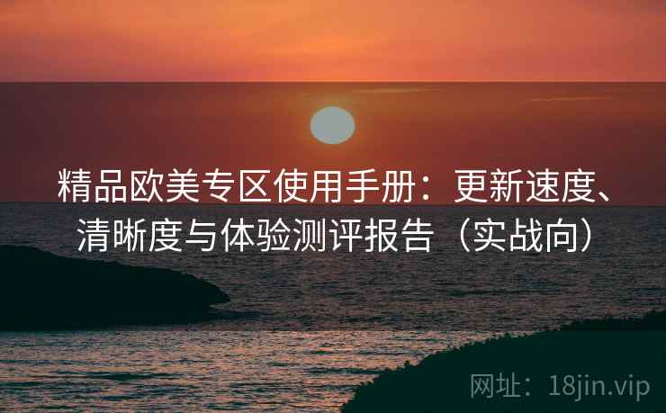 精品欧美专区使用手册：更新速度、清晰度与体验测评报告（实战向）