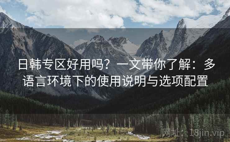 日韩专区好用吗？一文带你了解：多语言环境下的使用说明与选项配置