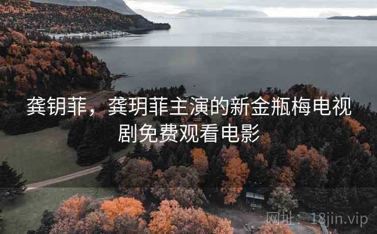 龚钥菲，龚玥菲主演的新金瓶梅电视剧免费观看电影